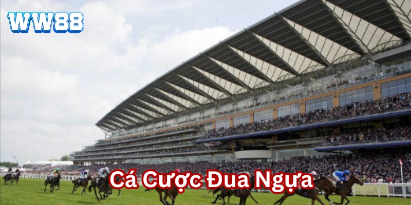Các loại Cá Cược Đua Ngựa phổ biến