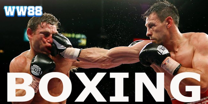 Bí Quyết Cá Cược Quyền Anh: Từ Cơ Bản Đến Thành Công