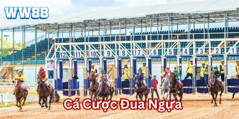 Kinh nghiệm chơi Cá Cược Đua Ngựa