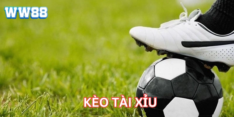 Mẹo chơi Kèo Tài Xỉu hiệu quả 