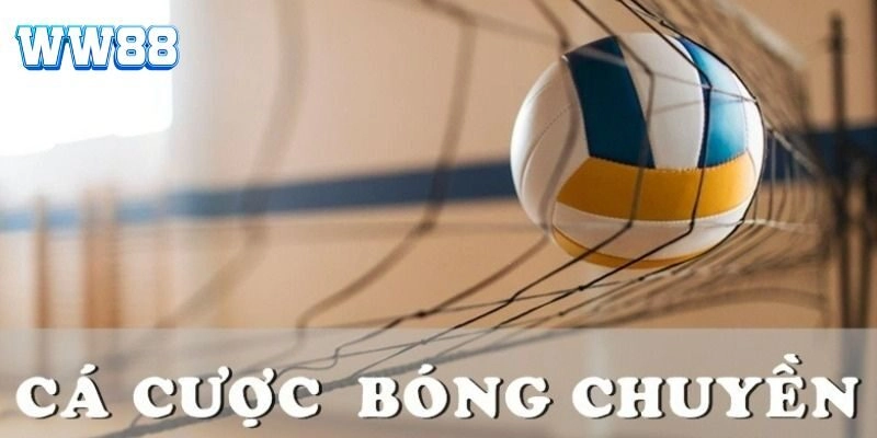 Cá Cược Bóng Chuyền WW88 – Bí Quyết Chinh Phục Kèo Thể Thao