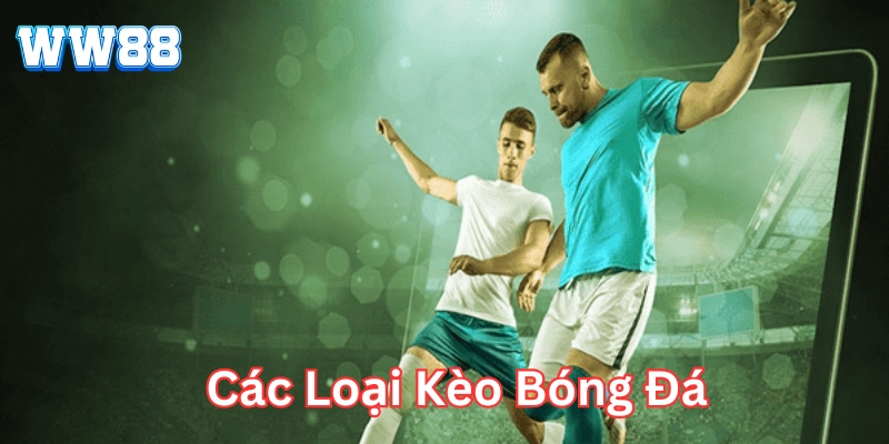 Tổng quan về Các Loại Kèo Bóng Đá