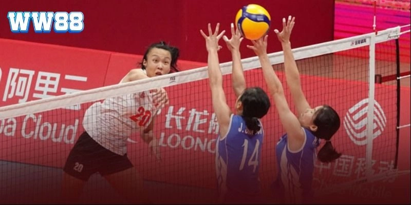 Trải nghiệm cá cược bóng chuyền với hướng dẫn chi tiết