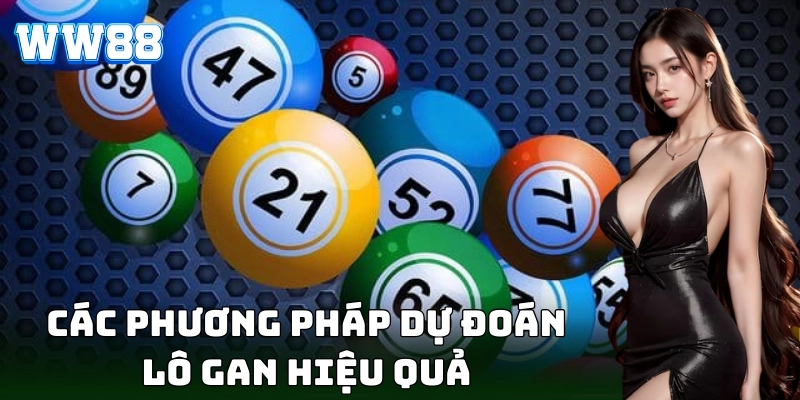 Dự đoán chuẩn xác nhờ phương pháp dự đoán lô gan