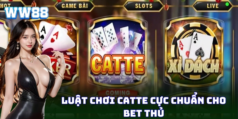 Catte – Chiến Lược Chơi Bài Cực Chuẩn Từ Cao Thủ WW88