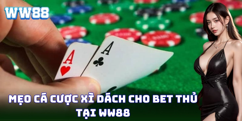 Chiến thuật đặt cược Xì Dách giúp bạn thắng dễ dàng